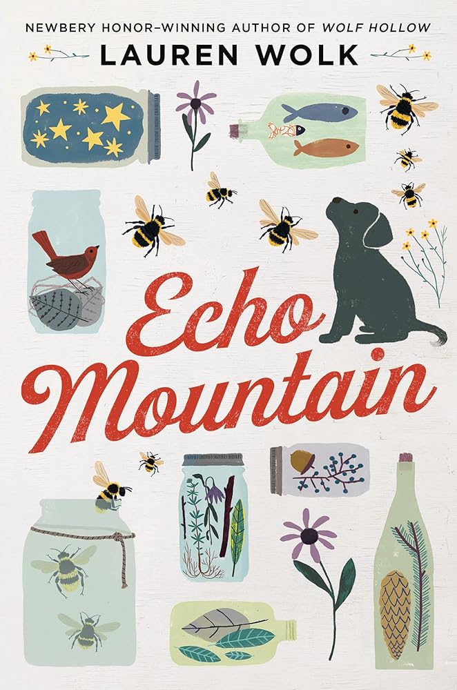 Echo Mountain cover image